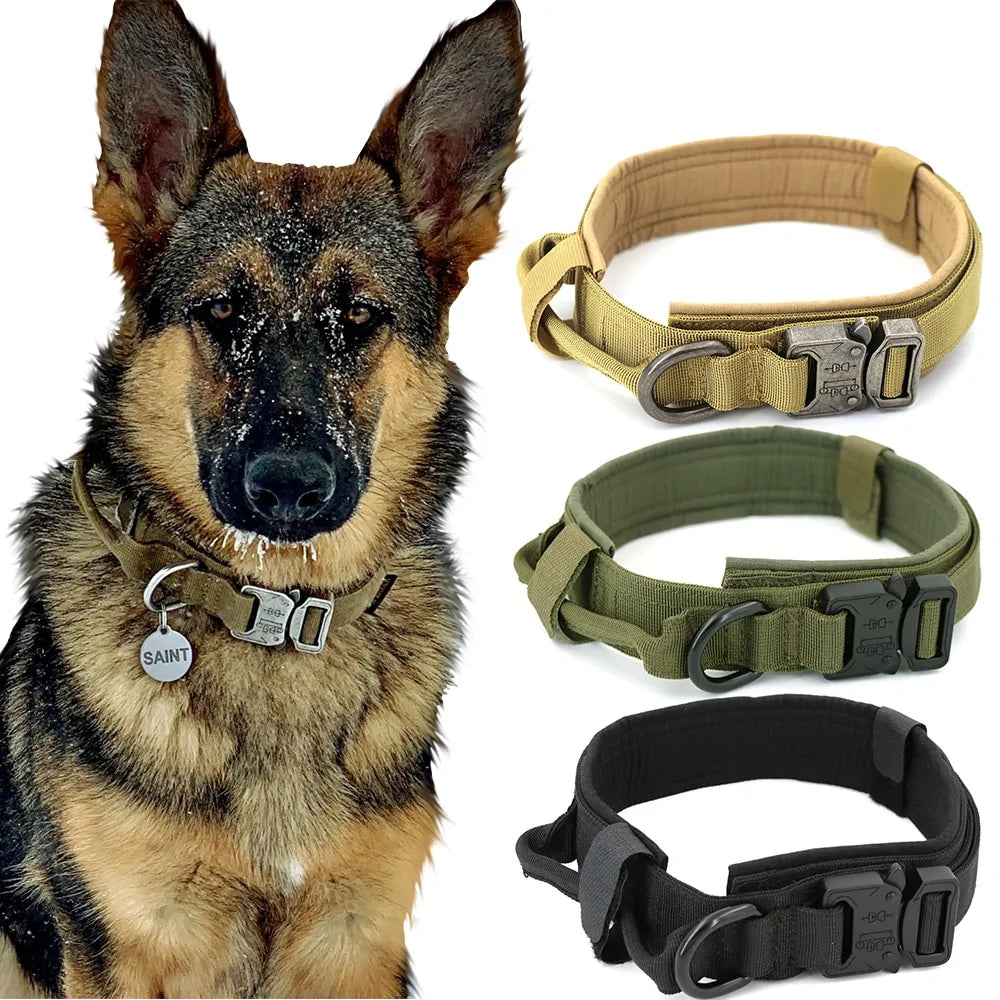 Collar para Perro