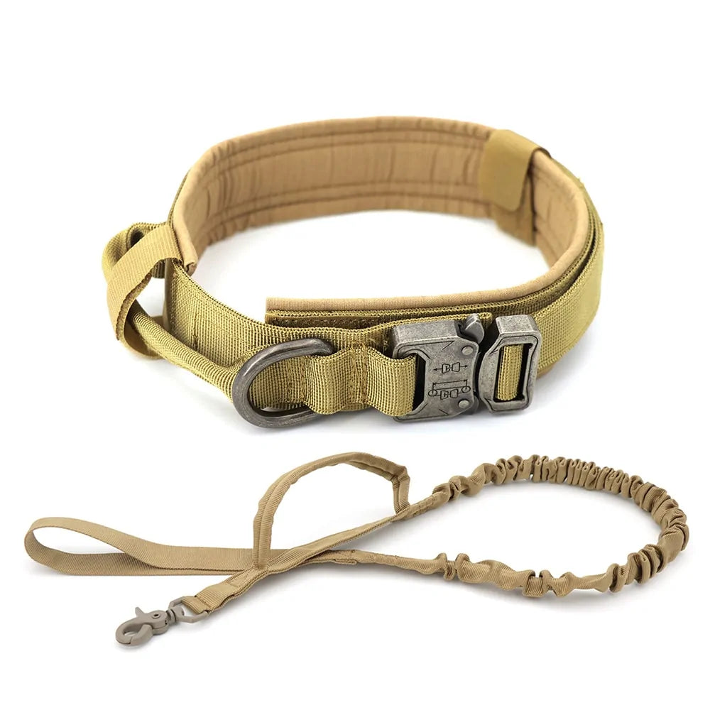 Collar para Perro