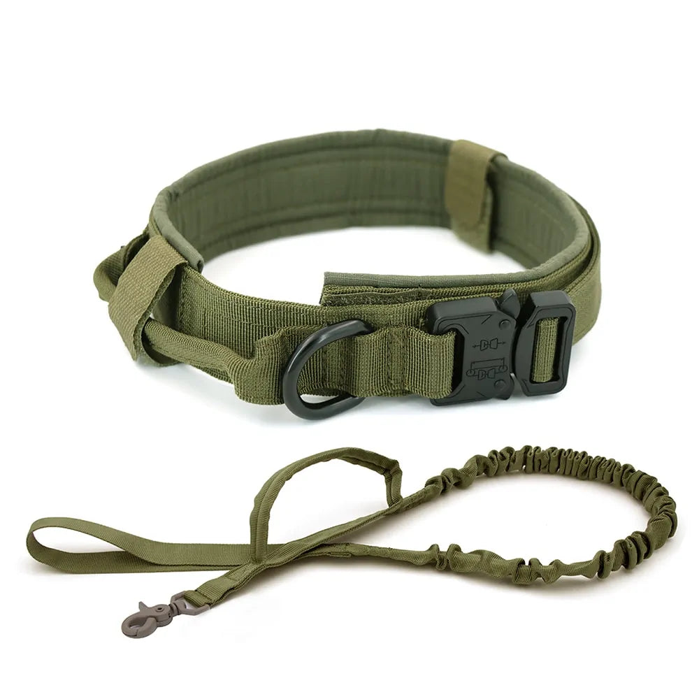 Collar para Perro