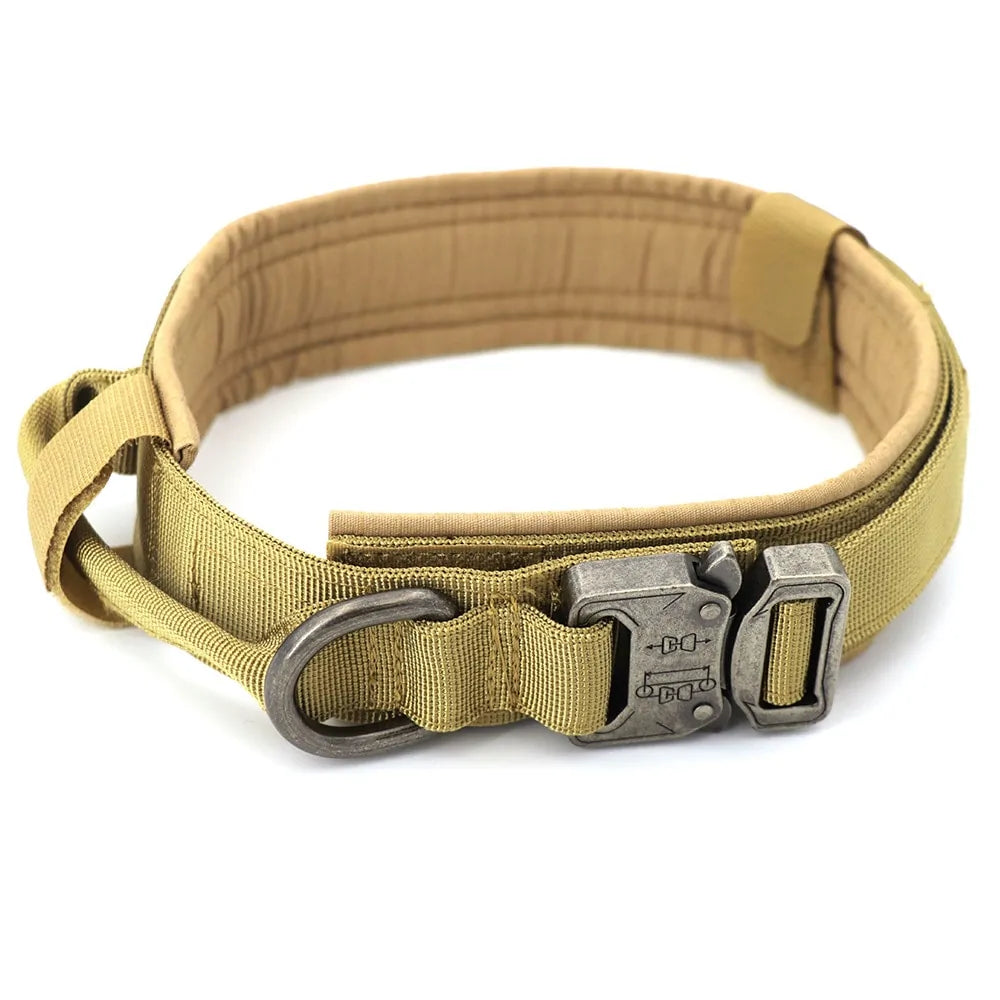 Collar para Perro