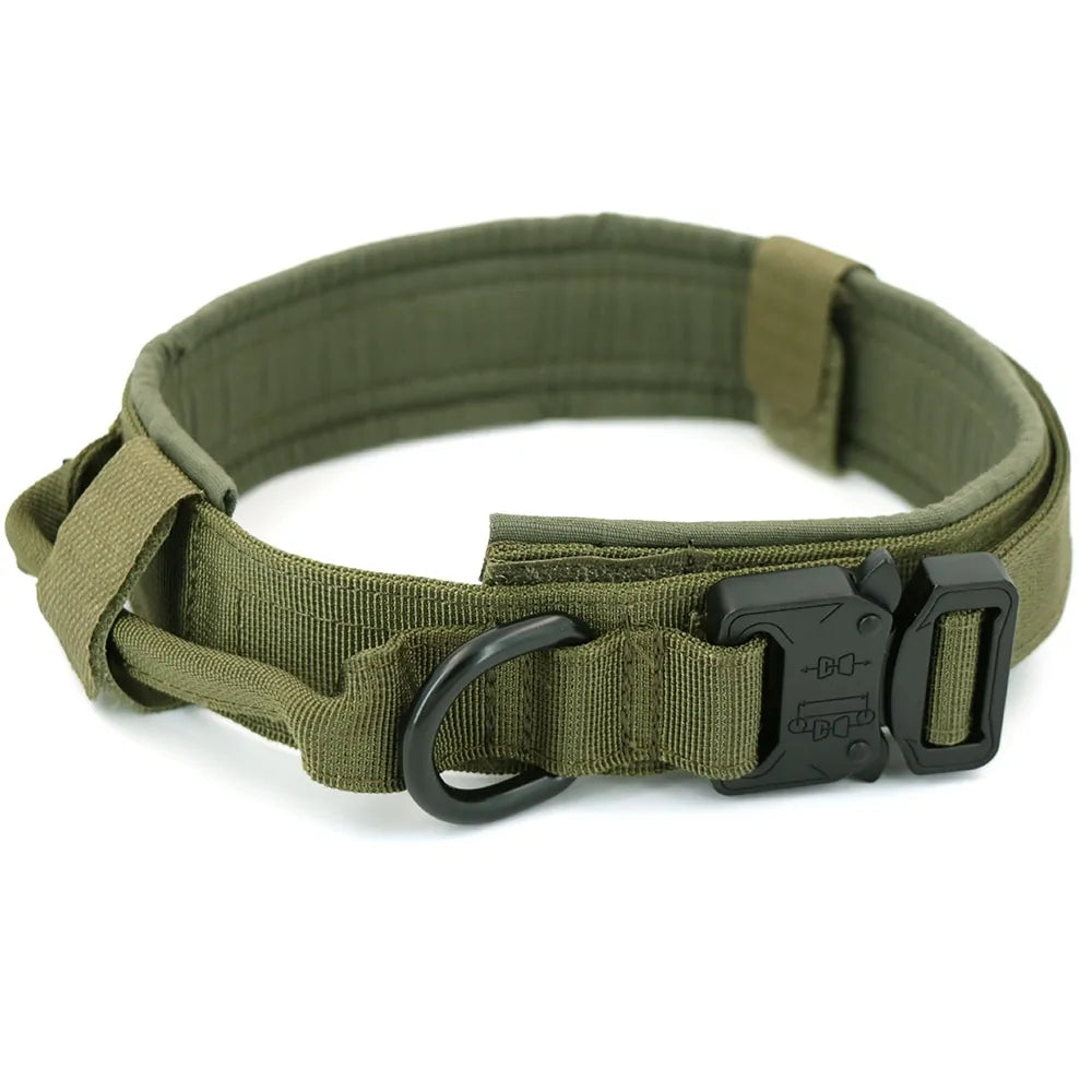 Collar para Perro