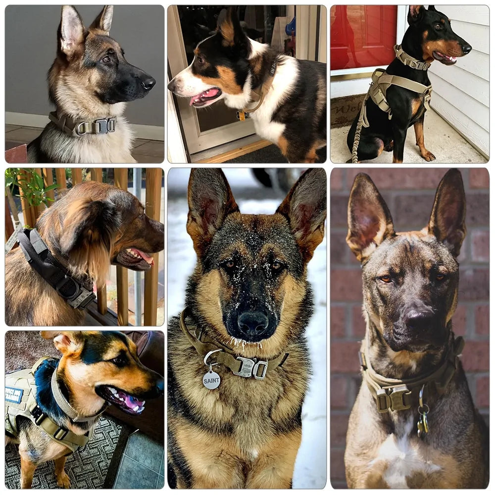 Collar para Perro