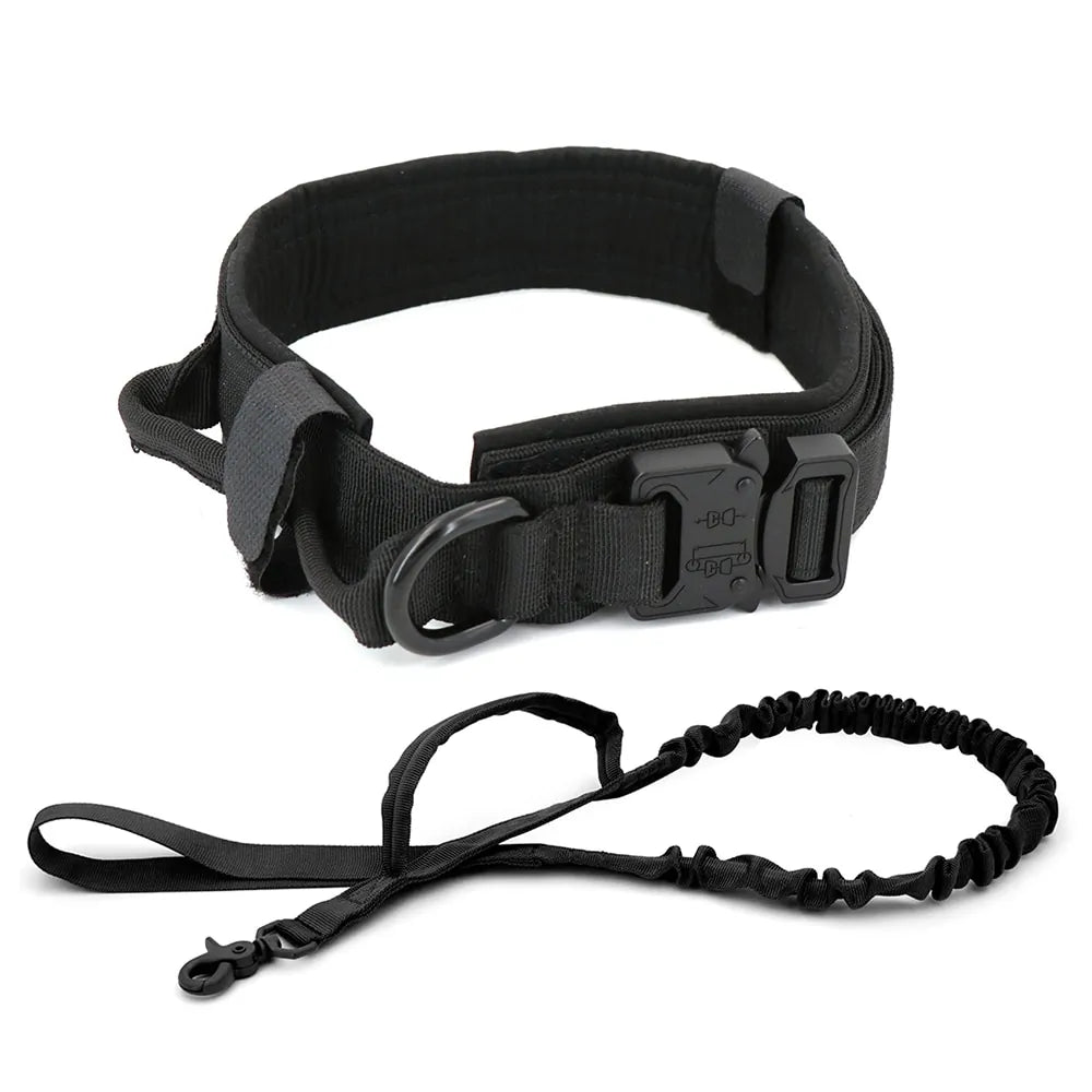 Collar para Perro