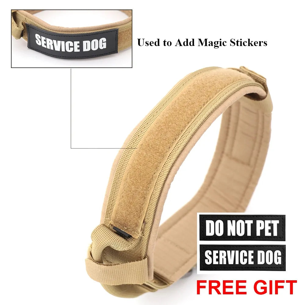 Collar para Perro