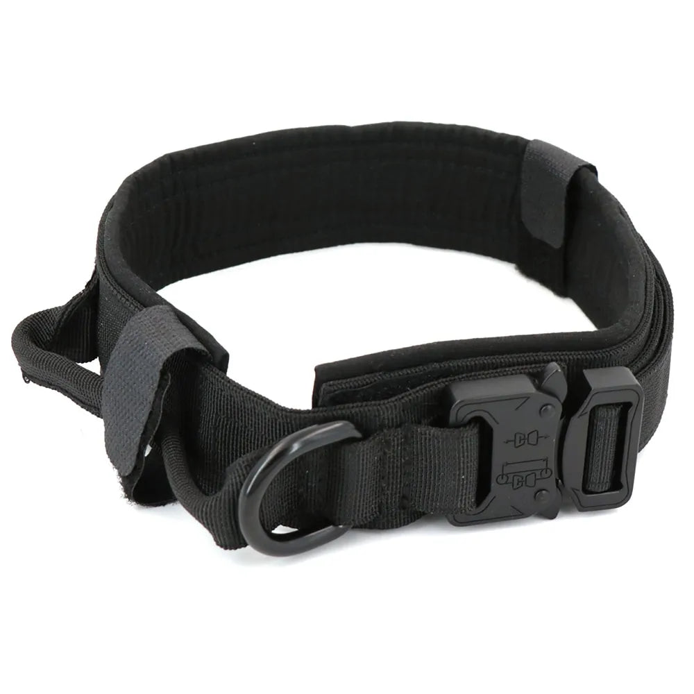 Collar para Perro
