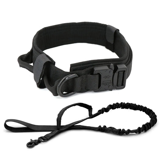 Collar para Perro